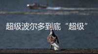 超級波爾多到底“超級”在哪兒？