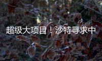 超級大項目！沙特尋求中方合作
