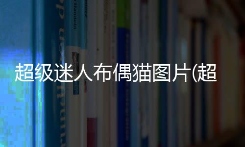 超級(jí)迷人布偶貓圖片(超級(jí)迷人布偶貓?jiān)趺答B(yǎng))
