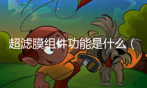 超濾膜組件功能是什么（超濾膜的優點是什么）