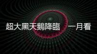 超大黑天鵝降臨　一月看全年？｜天下雜誌