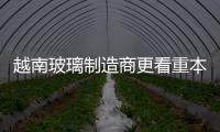 越南玻璃制造商更看重本地市場,行業資訊