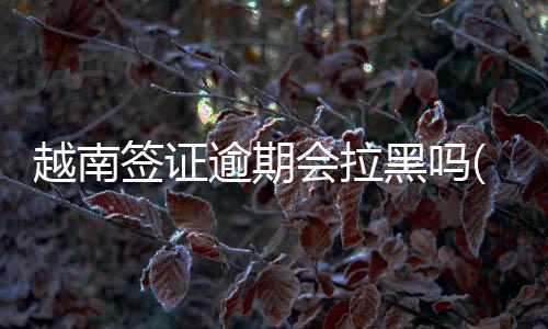 越南簽證逾期會拉黑嗎(簽證逾期進黑名單會怎么樣)