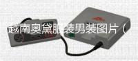 越南奧黛服裝男裝圖片（越南奧黛服裝男裝圖片大全）