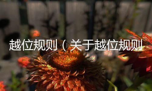 越位規(guī)則（關(guān)于越位規(guī)則的基本情況說明介紹）