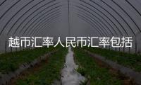 越幣匯率人民幣匯率包括越幣人民幣匯率走勢圖的具體內(nèi)容