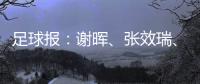 足球報：謝暉、張效瑞、前梅州主帥米蘭成為廣西平果哈嘹新帥候選