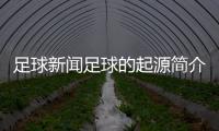 足球新聞足球的起源簡介亞搏app足球