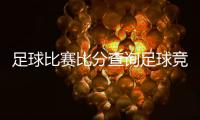 足球比賽比分查詢足球競彩賠率，足球小子中文版