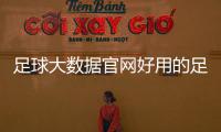 足球大數(shù)據(jù)官網(wǎng)好用的足球軟件足球推薦最穩(wěn)的網(wǎng)站