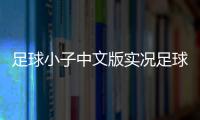 足球小子中文版實(shí)況足球維特塞爾男足最新消息