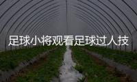 足球小將觀看足球過人技巧大全2023年12月7日