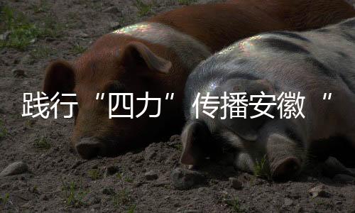 踐行“四力”傳播安徽“好聲音”