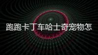 跑跑卡丁車哈士奇寵物怎么得
