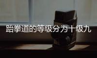 跆拳道的等級分為十級九段共19個等級（跆拳道的等級分為）
