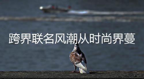 跨界聯名風潮從時尚界蔓延到家居界，電商成為突破口