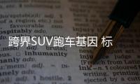 跨界SUV跑車基因 標(biāo)配ESP只賣7萬元