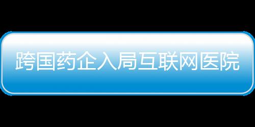 跨國藥企入局互聯(lián)網(wǎng)醫(yī)院 影響患者用藥