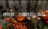 跨性別、生理性別、性別認同、LGBTQ+，一張圖瞭解它們的意思與差異