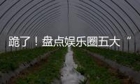 跪了！盤點(diǎn)娛樂圈五大“紅毯泥石流”