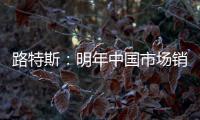 路特斯：明年中國市場銷量30%來自電動汽車