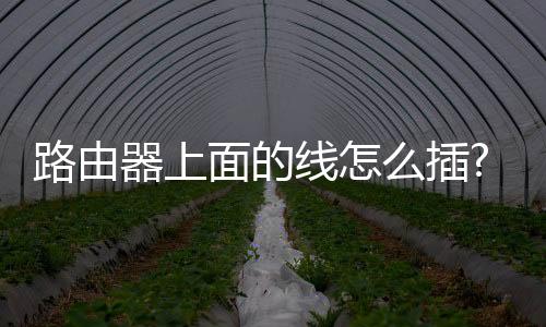 路由器上面的線怎么插?（路由器后面的線怎么接）