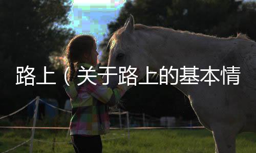 路上（關于路上的基本情況說明介紹）