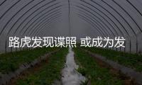 路虎發(fā)現(xiàn)諜照 或成為發(fā)現(xiàn)首款插電混動車型