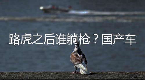 路虎之后誰躺槍？國產車模仿仍繼續