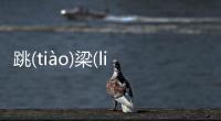 跳(tiào)梁(liáng)小(xiǎo)丑(chǒu)又是個(gè)什么梗?
