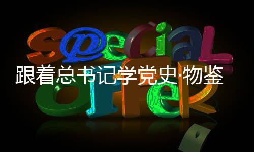 跟著總書記學黨史·物鑒初心 傳承紅色基因 汲取奮進力量