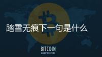 踏雪無痕下一句是什么  踏雪無痕的下一句是啥
