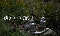 躊(chóu)躇(chú)滿(mǎn)志(zhì)具體是什么原因?
