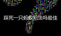 踩死一只螞蟻犯法嗎最佳答案（踩死一只螞蟻犯法嗎）