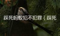 踩死螞蟻犯不犯罪（踩死螞蟻犯法嗎）