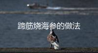 蹄筋燒海參的做法