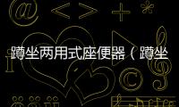 蹲坐兩用式座便器（蹲坐兩用馬桶）