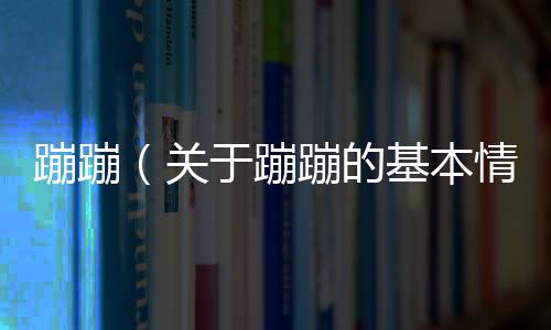 蹦蹦（關于蹦蹦的基本情況說明介紹）