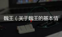 魏王（關(guān)于魏王的基本情況說明介紹）
