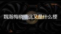魏瀚梅曉璠這又是什么梗?
