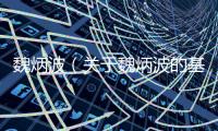 魏炳波（關于魏炳波的基本情況說明介紹）