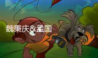 魏秉慶&孟國文最新Science：高性能濾波電容器！ – 材料牛