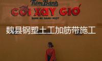 魏縣鋼塑土工加筋帶施工方案