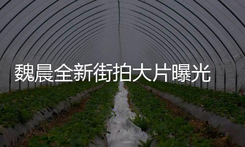 魏晨全新街拍大片曝光 演繹“酷男友”日常