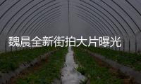 魏晨全新街拍大片曝光 演繹“酷男友”日常