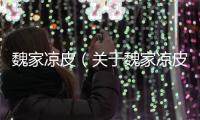 魏家涼皮（關于魏家涼皮的基本情況說明介紹）