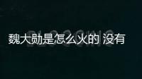 魏大勛是怎么火的 沒有什么作品口碑平平卻人氣很高