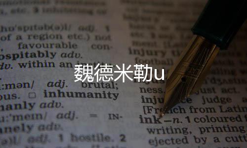 魏德米勒u