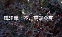 魏建軍：不走高端會死 WEY技術儲備遭質疑