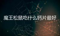 魔王松鼠吃什么鈣片最好？魔王松鼠吃什么鈣片比較好